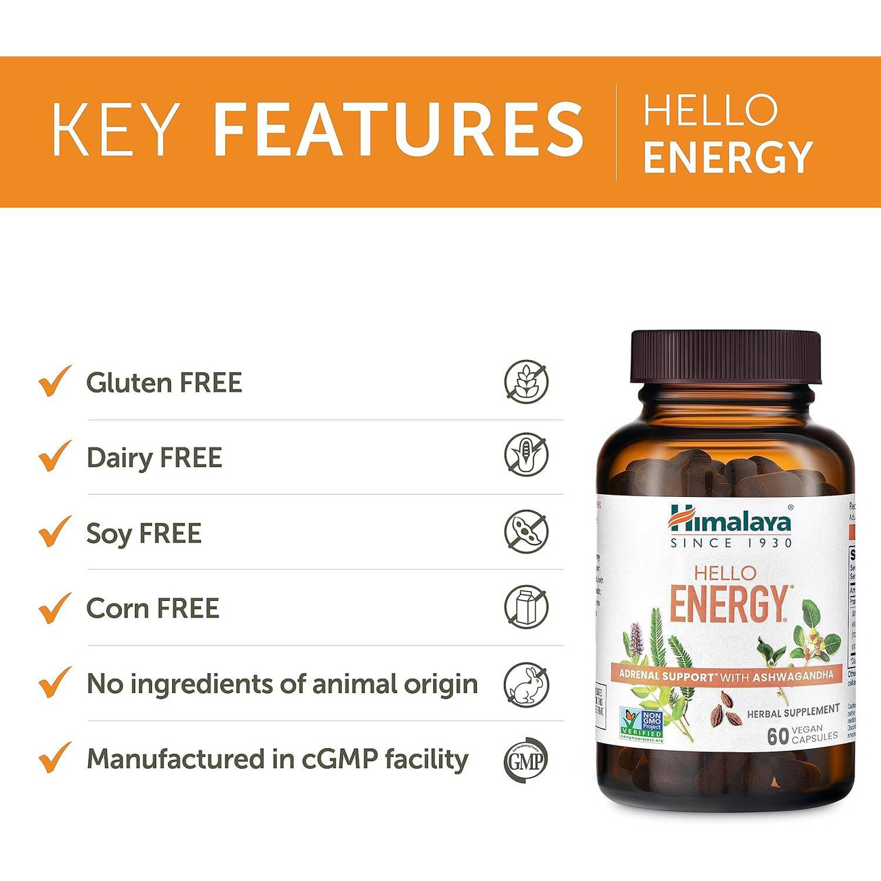 Himalaya Wellness Hello Energy - 60 Capsules