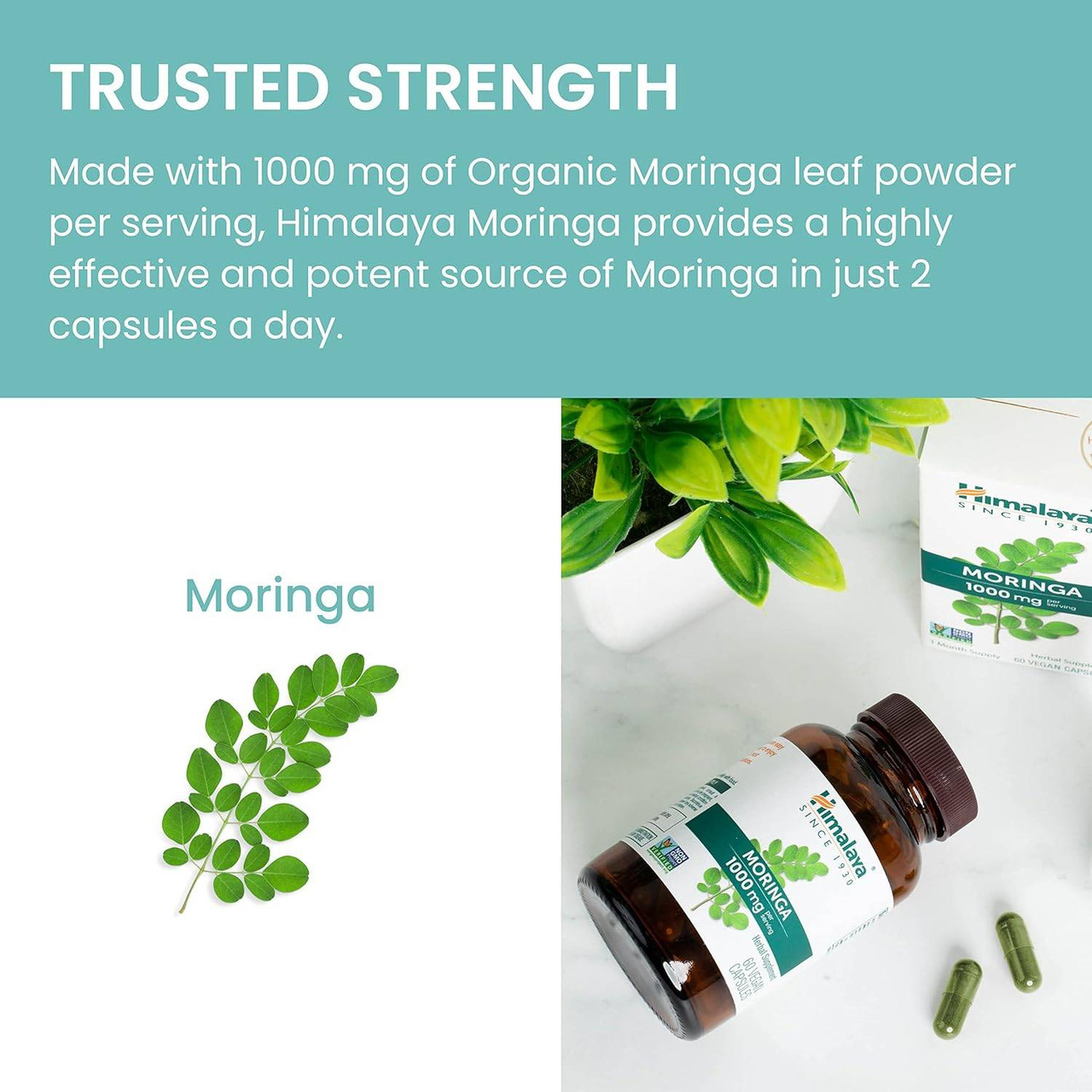 Himalaya Wellness Moringa - 60 Capsules