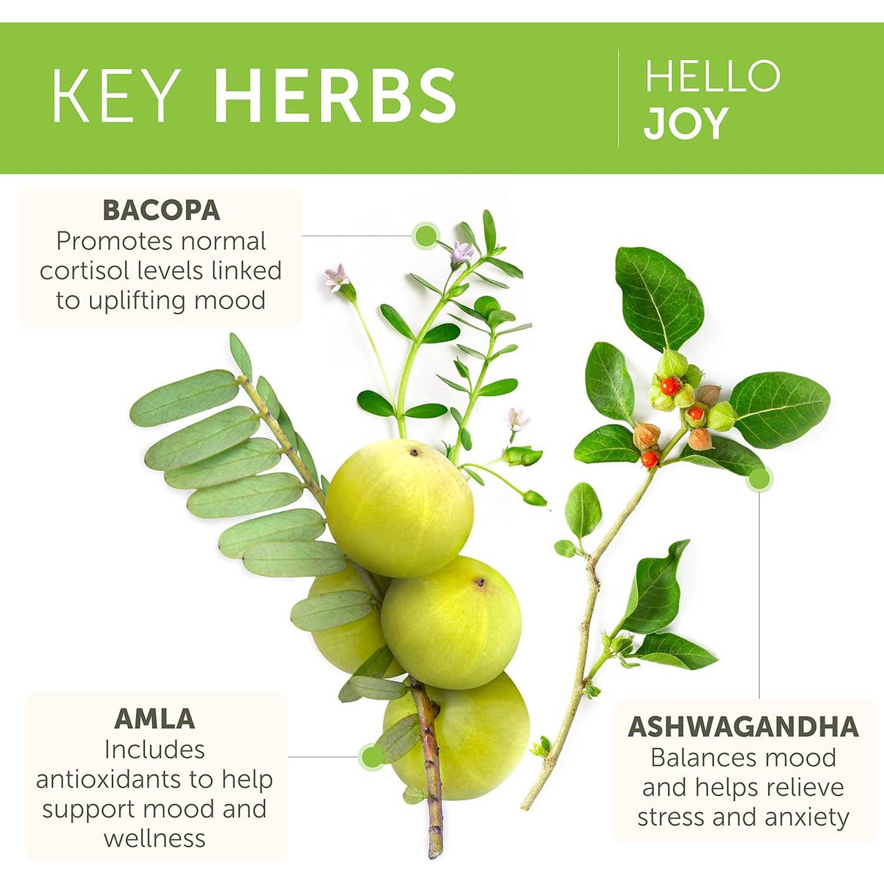 Himalaya Wellness Hello Joy - 60 Capsules