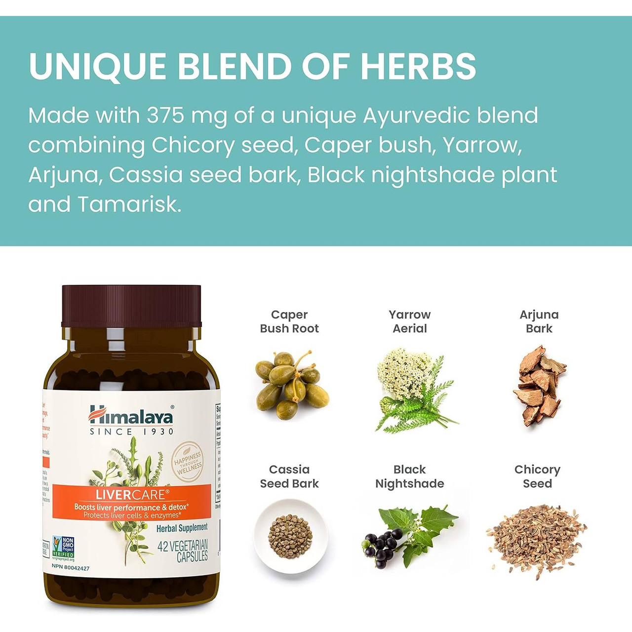Himalaya Wellness LiverCare - 90 Capsules