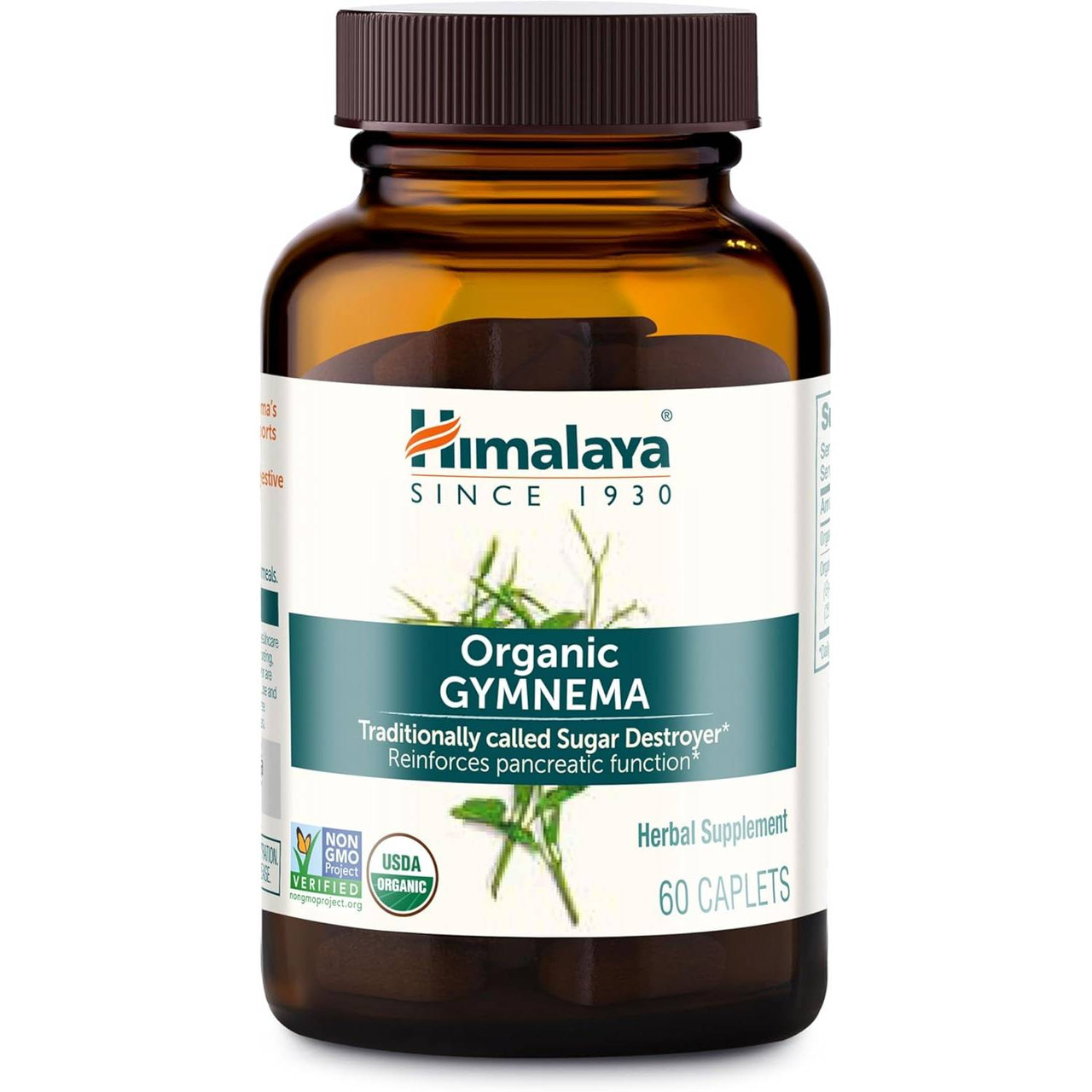 Himalaya Wellness Gymnema - 60 Caplets