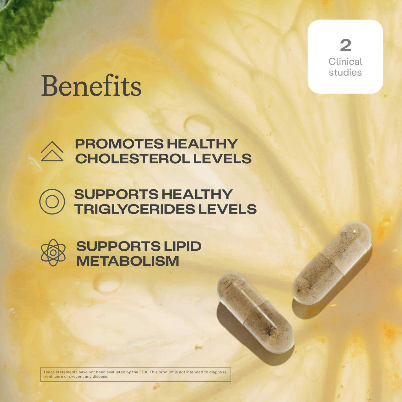 HumanN Cholesterol Health Daily - 60 Capsules HMNN21442 29.99