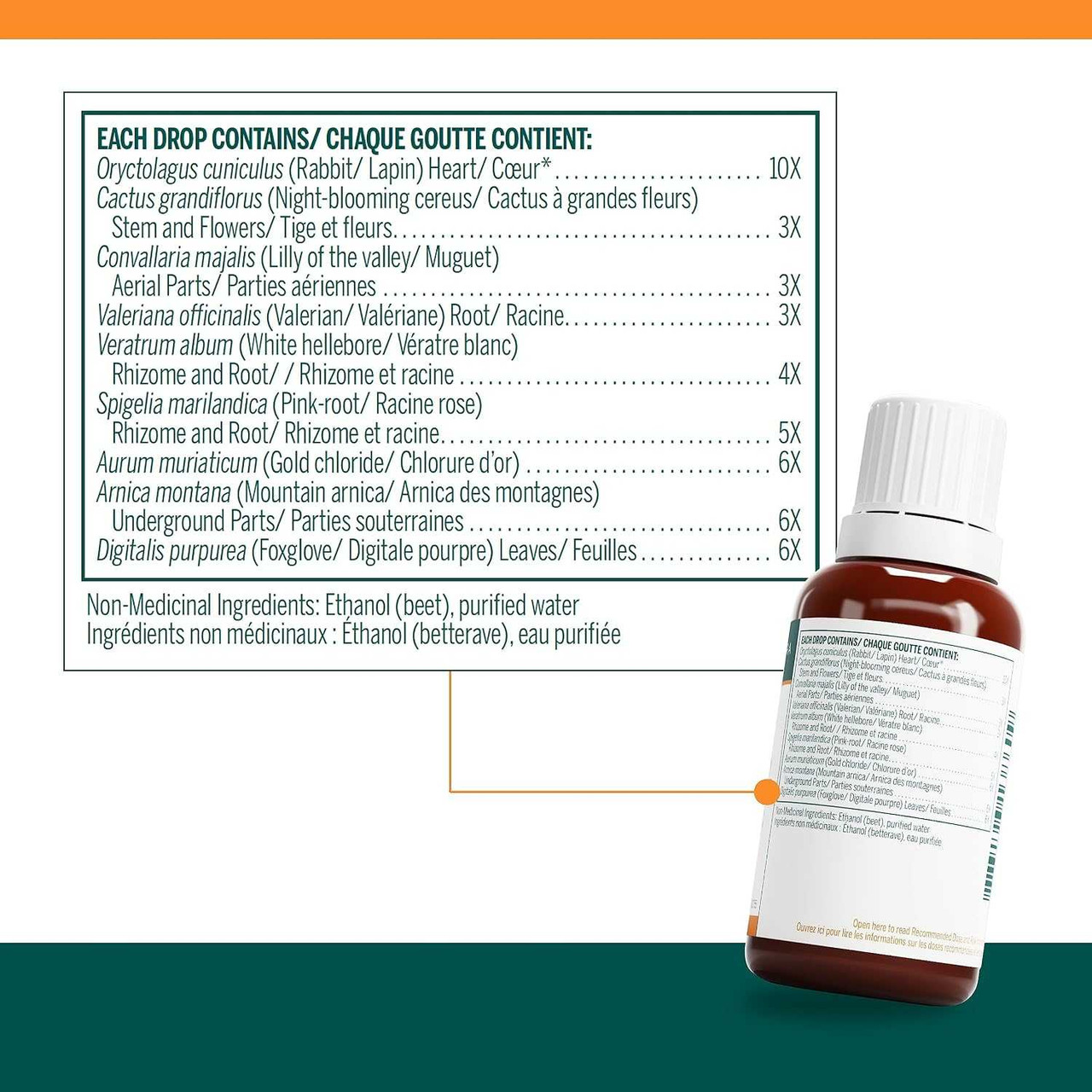 Genestra Brands HHR - 30 Milliliters GSBR38609 28