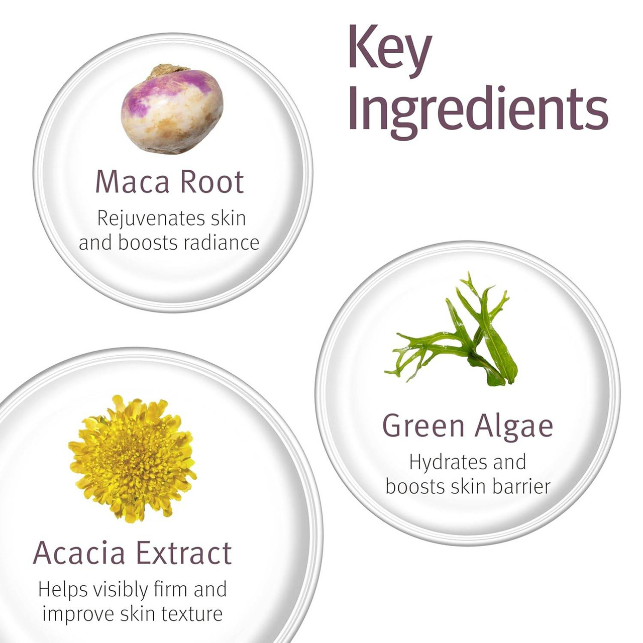 epionce Intensive Nourishing Cream key ingredients infographic with botanicals