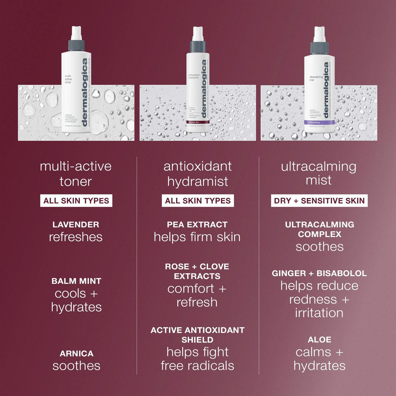 Dermalogica Antioxidant HydraMist