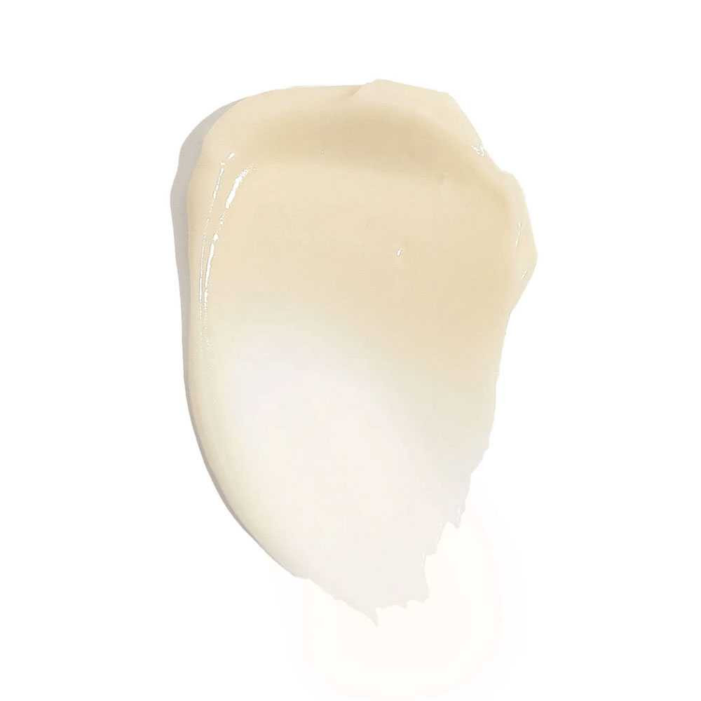 Revision Nectifirm RVN03551 BeautifiedYou.com