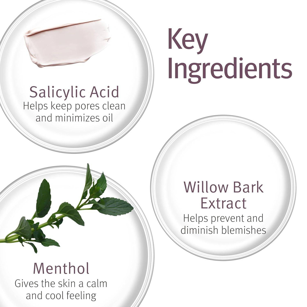 epionce Purifying Wash key ingredients: salicylic acid, willow bark extract, menthol