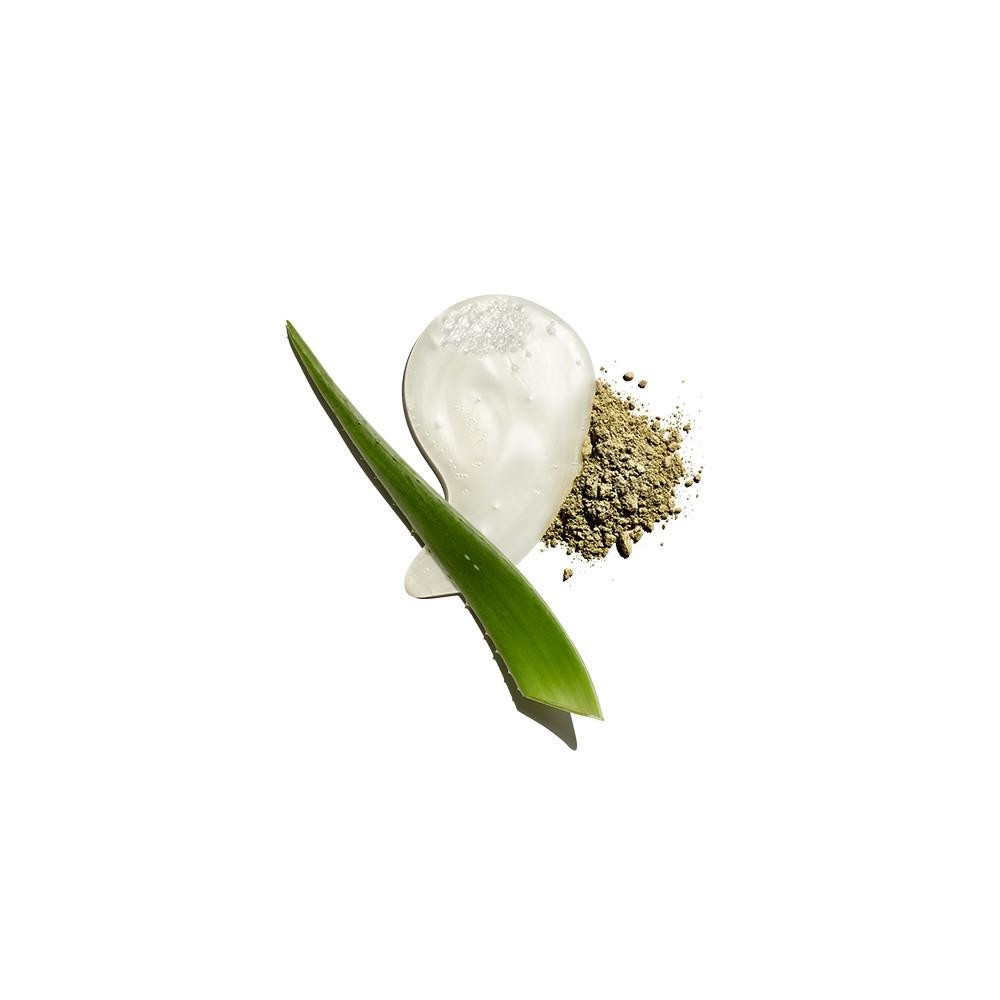 Dab of beard wash with aloe leaf and herbs