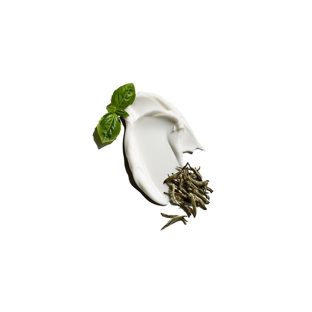 White moisturizer swirl with basil leaf and white tea leaves