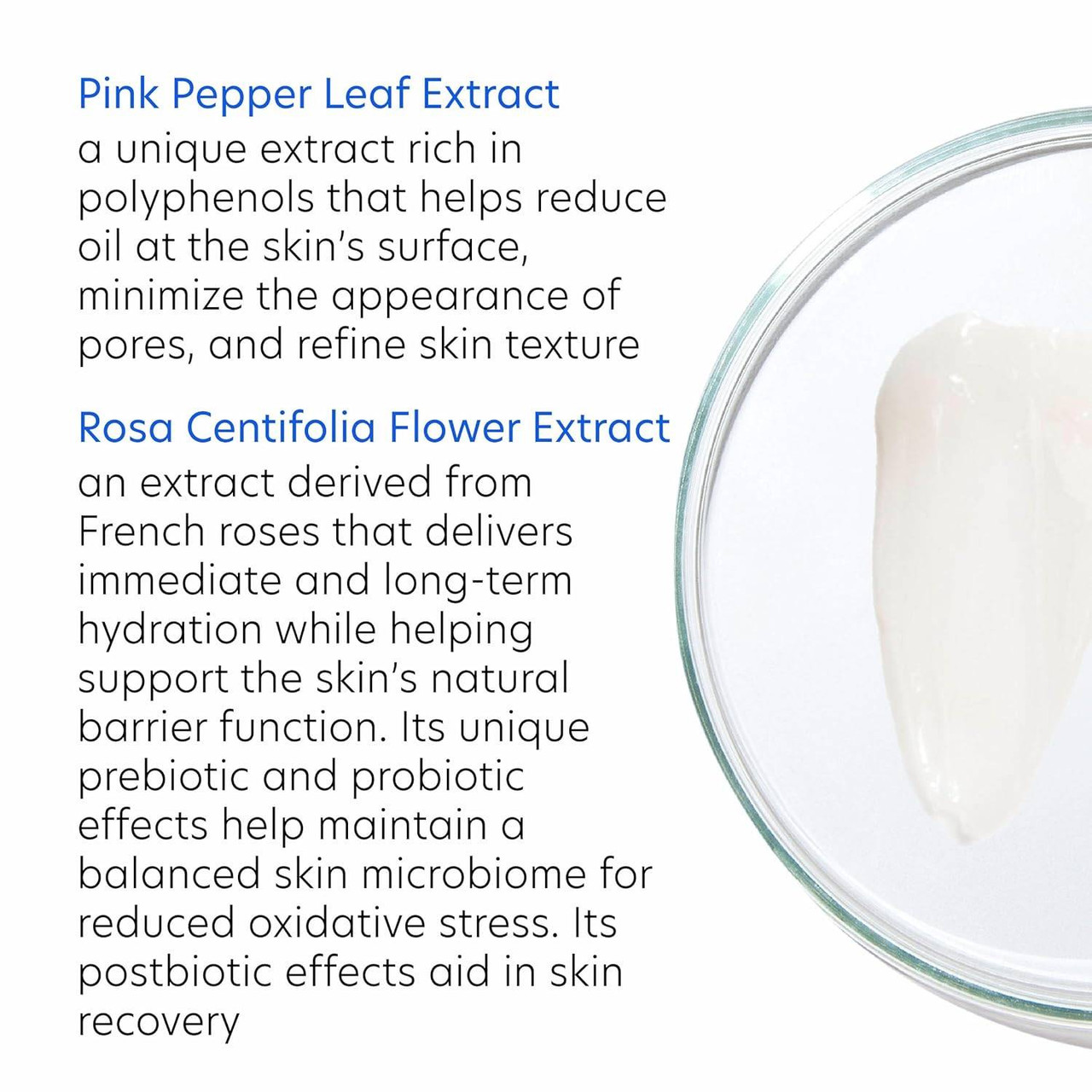 Pink pepper leaf and rosa centifolia extract descriptions beside cream texture