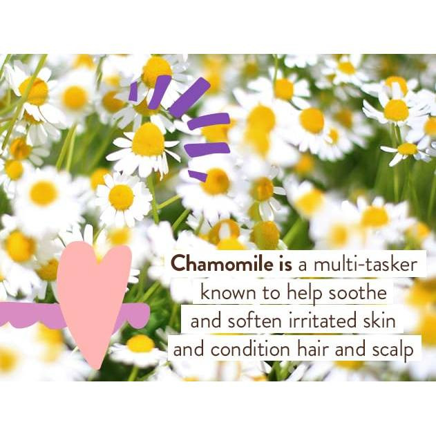 Babo Botanicals Calming Baby Lotion - Lavender & Meadowsweet