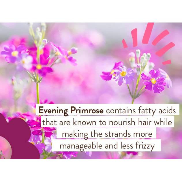 Babo Botanicals Smoothing Detangling Conditioner - Berry Primrose