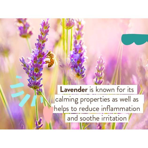 Babo Botanicals Eucalyptus Remedy Soothing Chest Rub