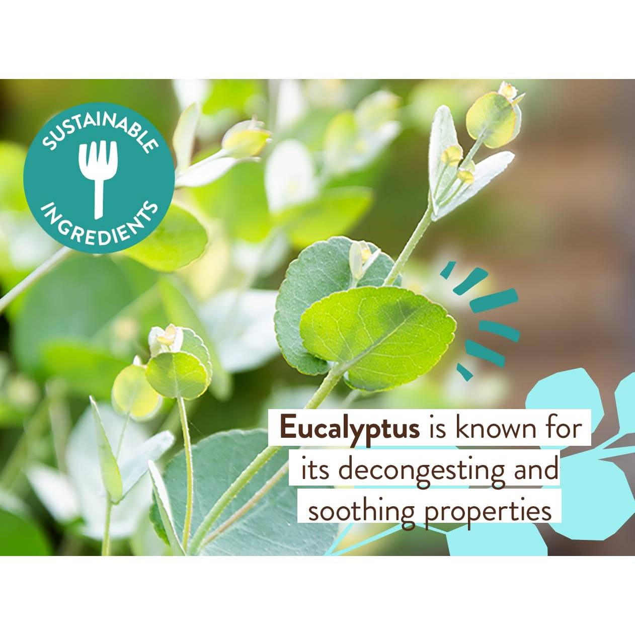 Babo Botanicals Eucalyptus Remedy Soothing Chest Rub