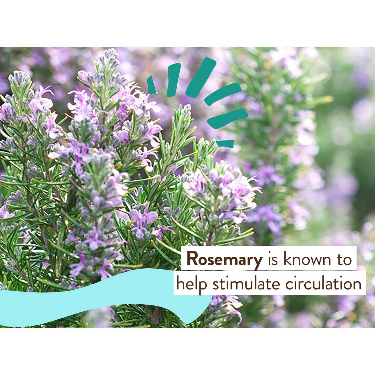 Babo Botanicals Eucalyptus Remedy Soothing Chest Rub