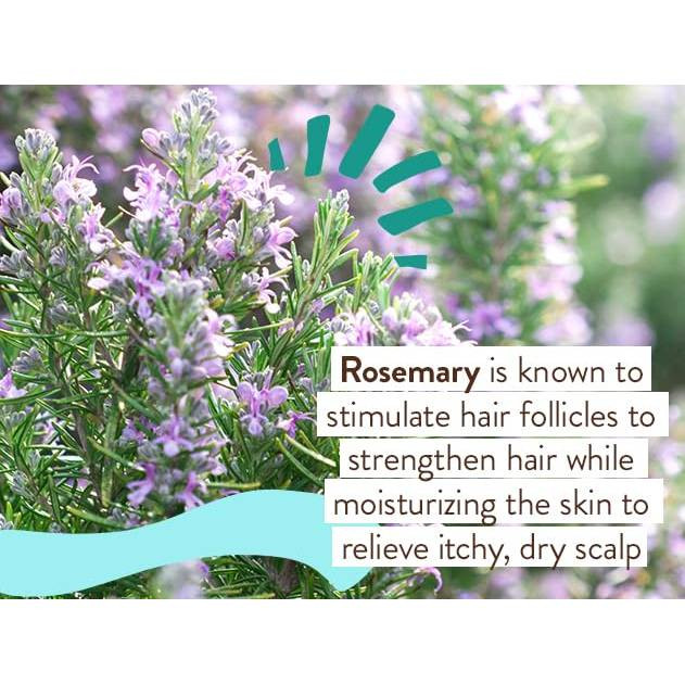 Babo Botanicals Eucalyptus Remedy Shampoo, Bubble Bath & Wash