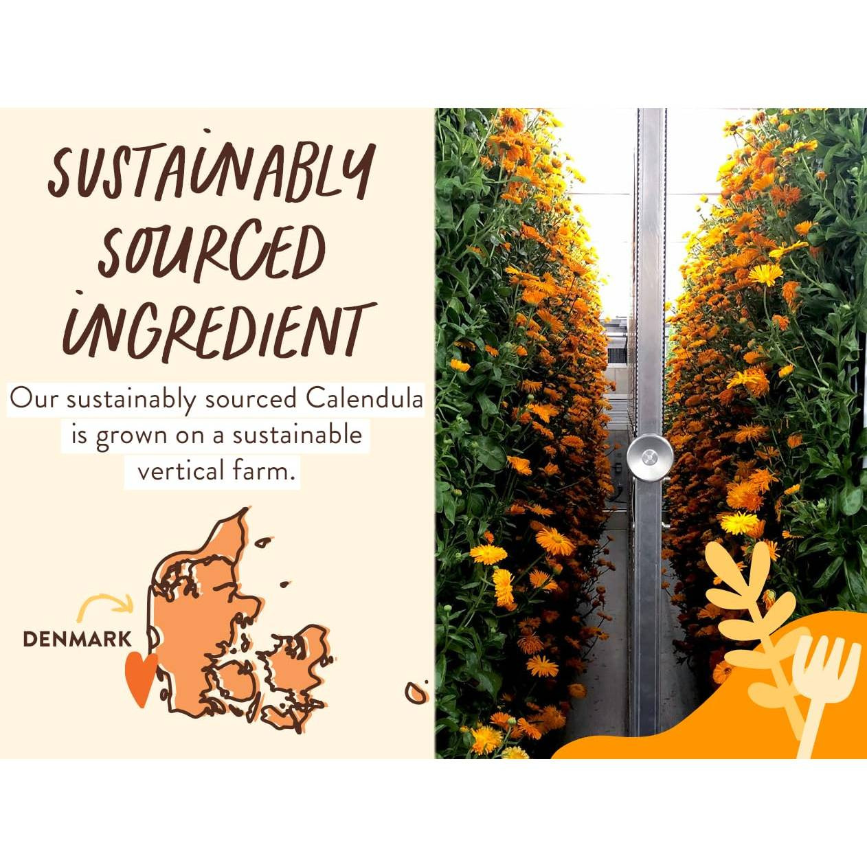 Babo Botanicals Moisturizing Bubble Bath & Wash - Oatmilk & Calendula