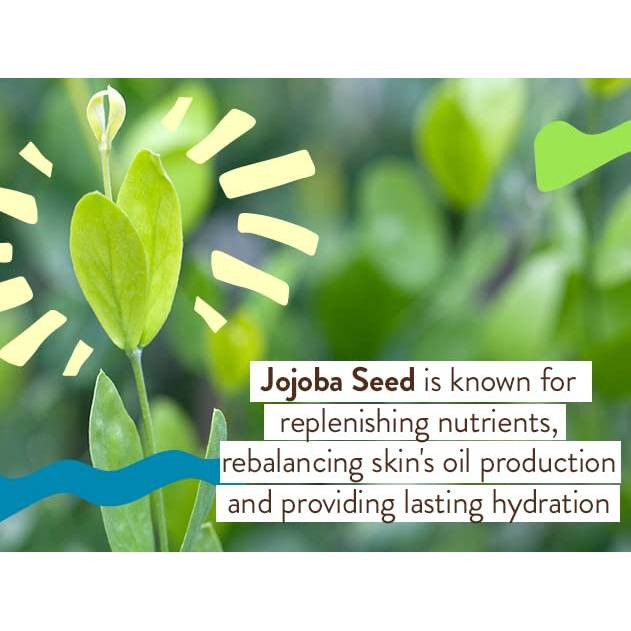 Babo Botanicals Daily Sheer Tinted Face Mineral Sunscreen SPF 30