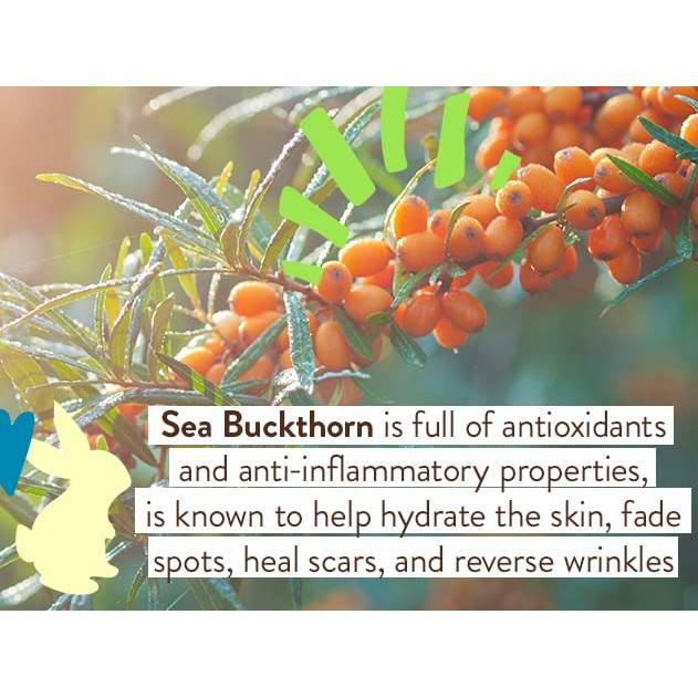 Sea buckthorn berries ingredient graphic