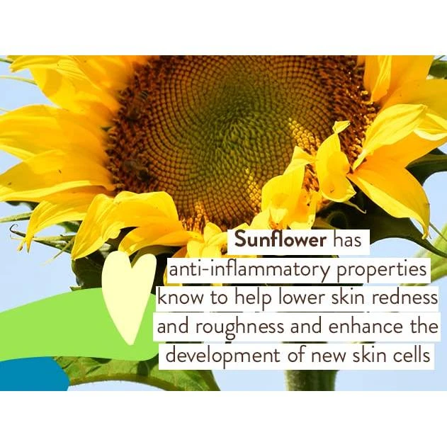 Sunflower with ingredient note