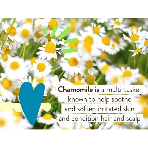 Chamomile flowers with ingredient note
