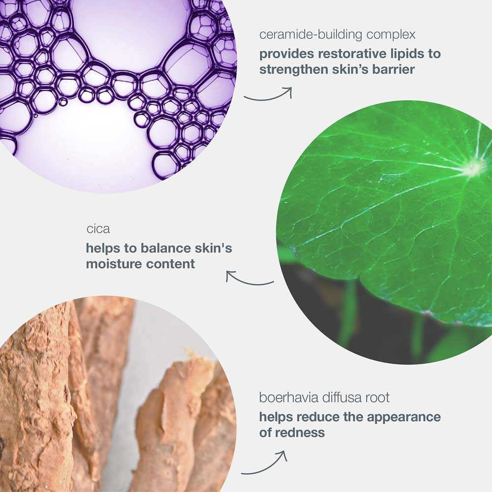 Stabilizing Repair Cream ingredients: ceramide-building complex, cica, boerhavia diffusa root