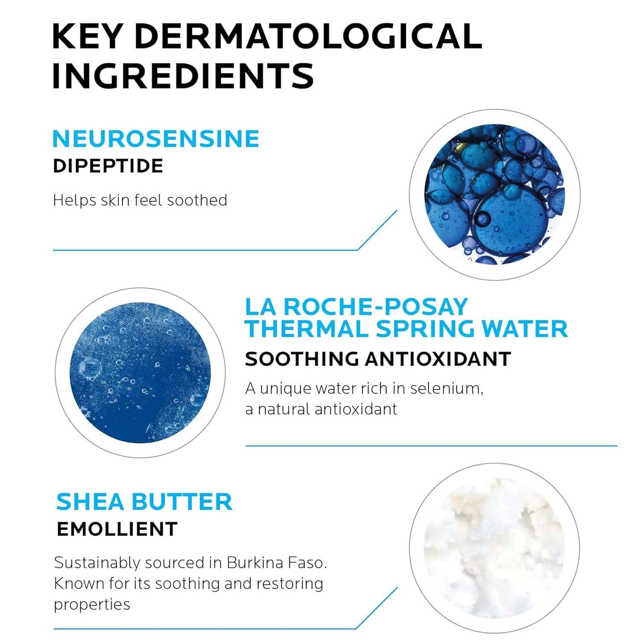 Key dermatological ingredients: neurosensine, thermal spring water, shea butter
