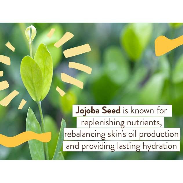 Babo Botanicals Swim + Sport Balm SPF 50