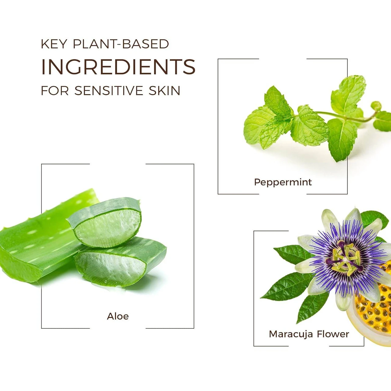 Key plant-based ingredients graphic with aloe, peppermint and maracuja flower