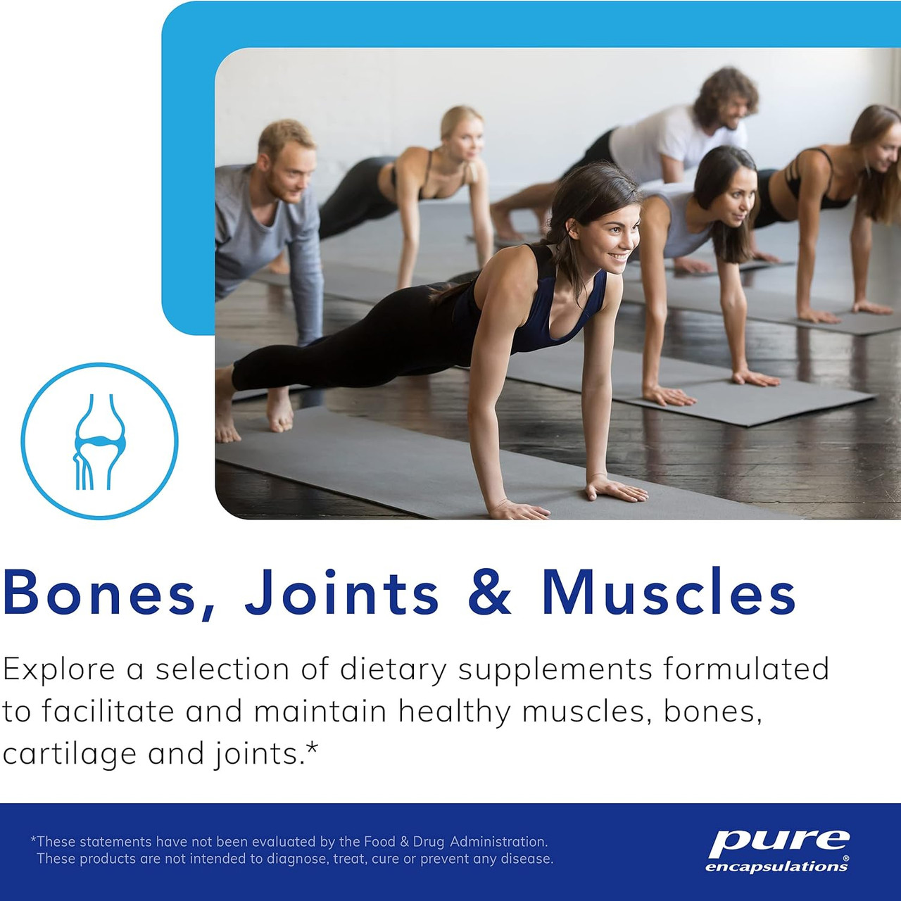 Group doing planks with bones, joints and muscles text