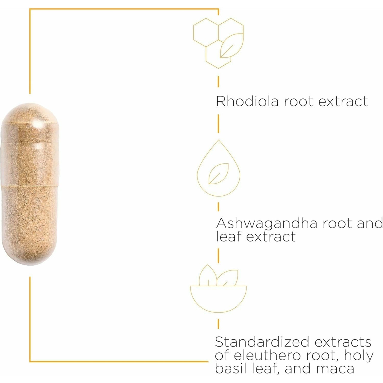 Integrative Therapeutics HPA Adapt - 120 Vegan Capsules