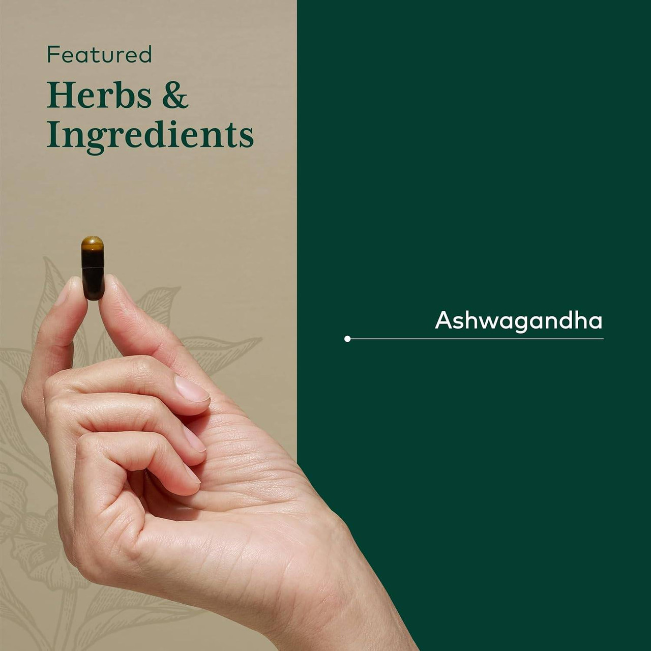 Hand holding a liquid capsule, featured herb ashwagandha