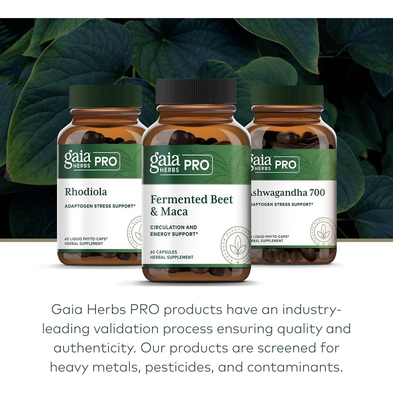 Three Gaia Herbs PRO amber bottles in front of large green leaves