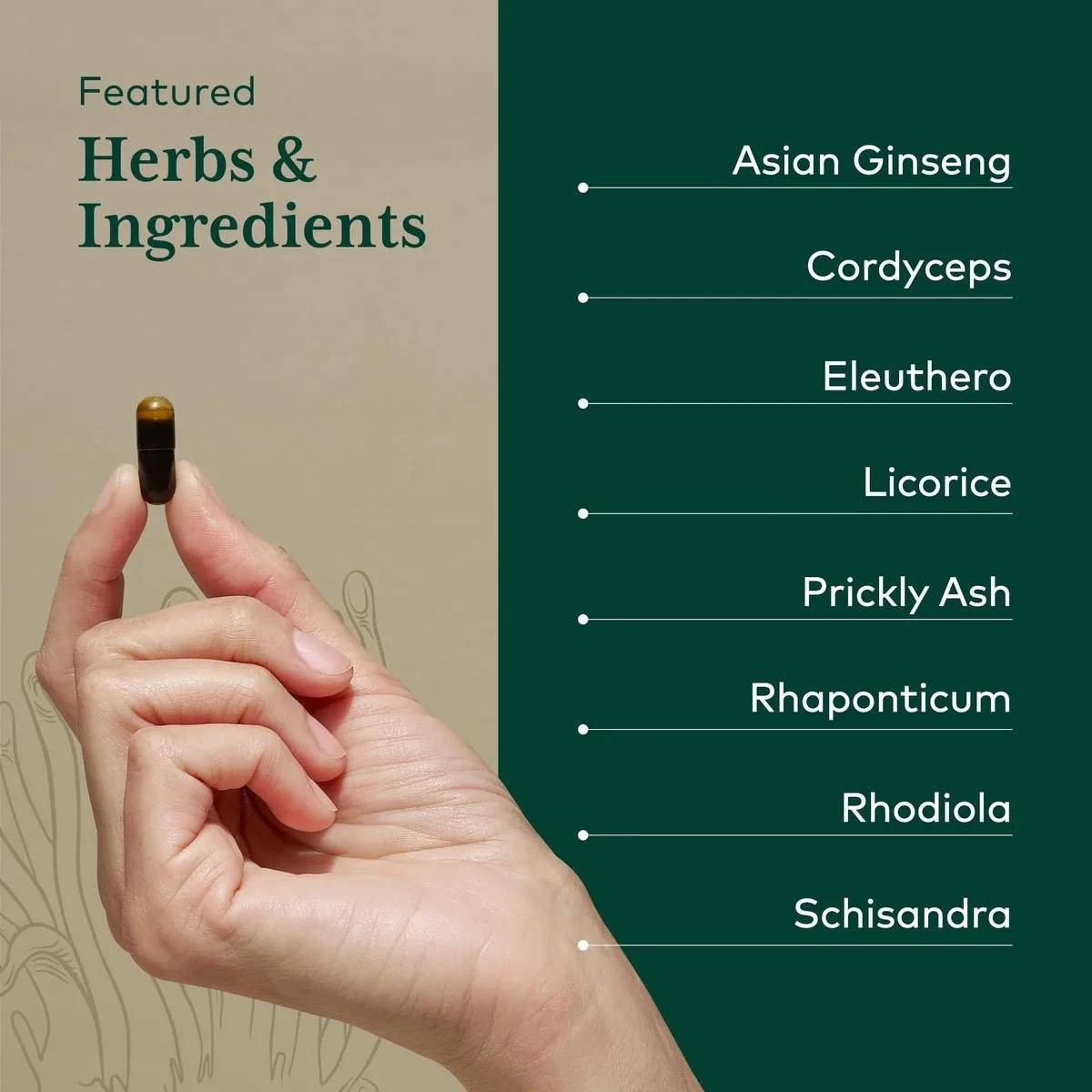Hand holding a capsule beside the Revive HPA herbs and ingredients list