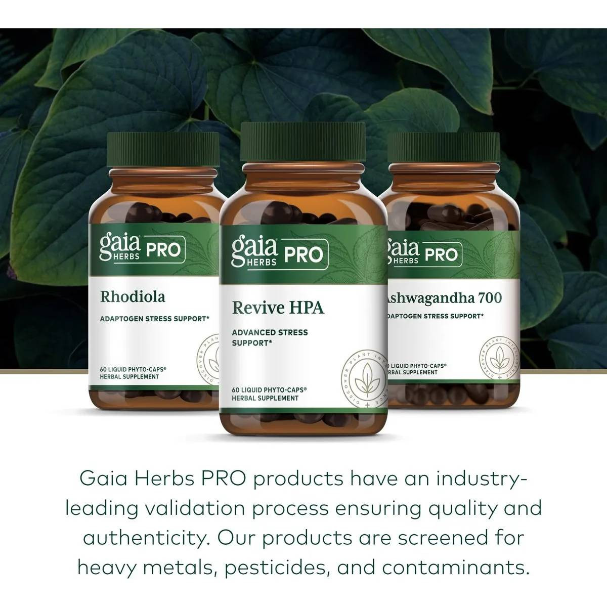 Gaia Herbs PRO Revive HPA - 60 Capsules