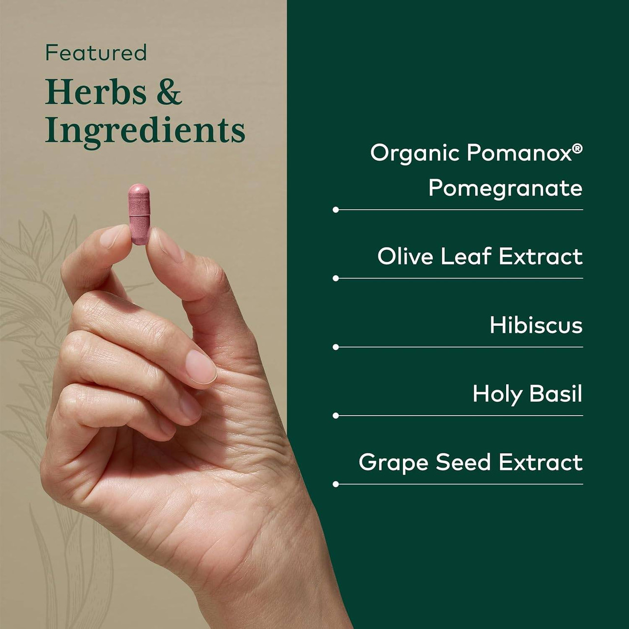 Hand holding a capsule, featured herbs and ingredients list
