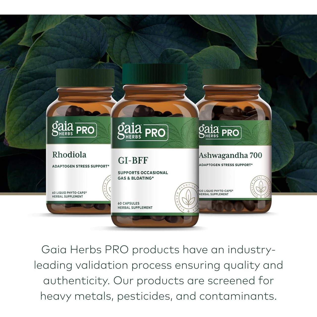 Gaia Herbs PRO GI BFF - 60 Capsules