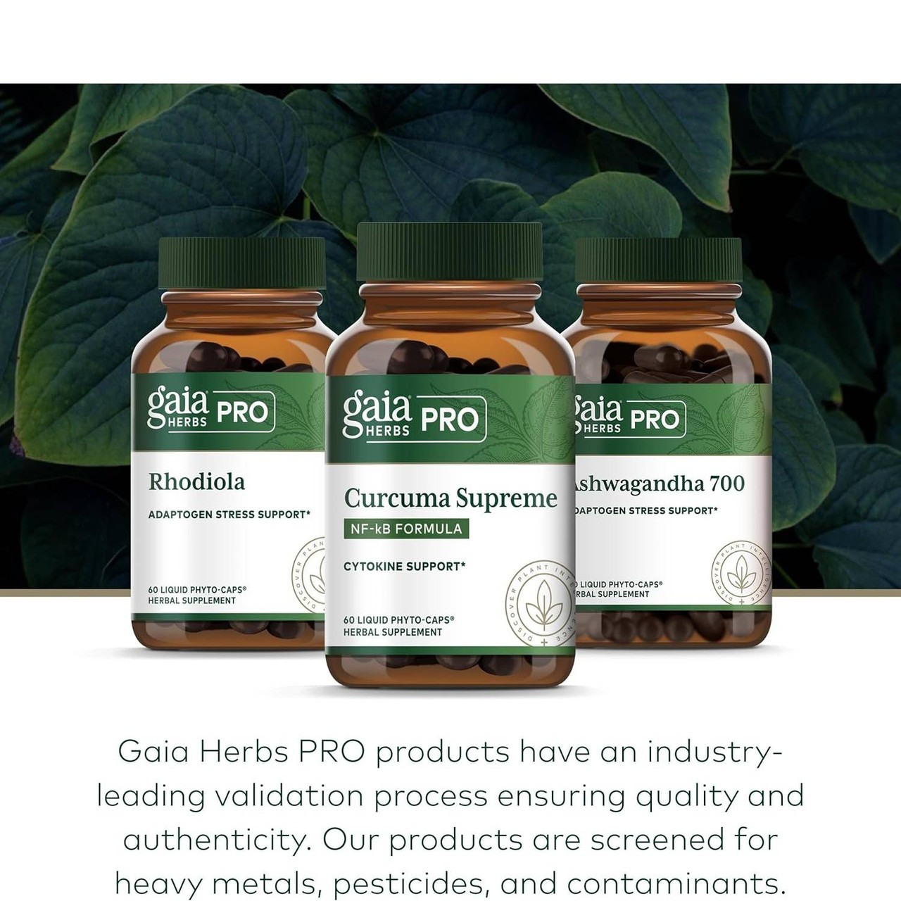 Gaia Herbs PRO Curcuma Supreme NF-kB Formula - 120 Capsules