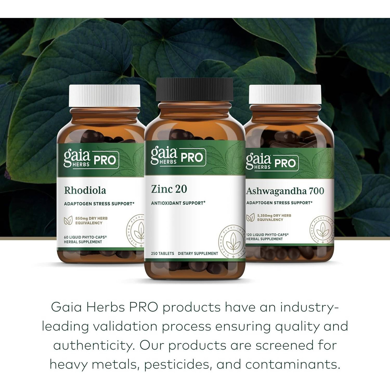 Gaia Herbs PRO Holy Basil - 60 Capsules