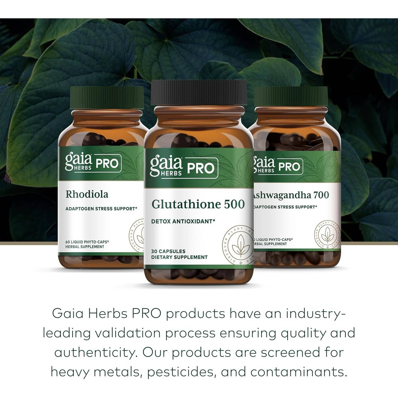 Three Gaia PRO bottles, industry-leading validation screening graphic