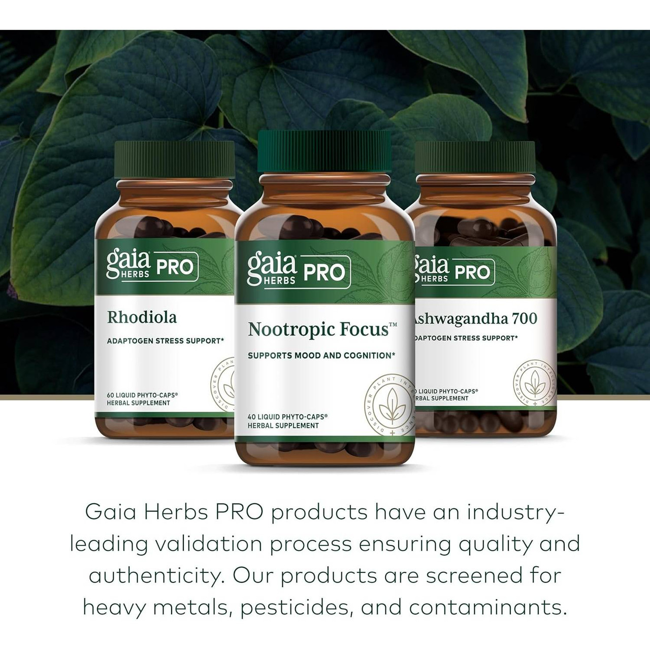 Gaia Herbs PRO Nootropic Focus - 40 Capsules