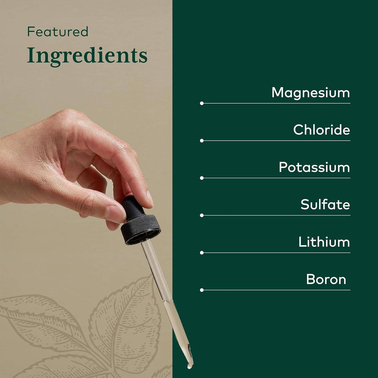 Gaia Herbs PRO Liquid Magnesium with Trace Minerals - 4 Ounces