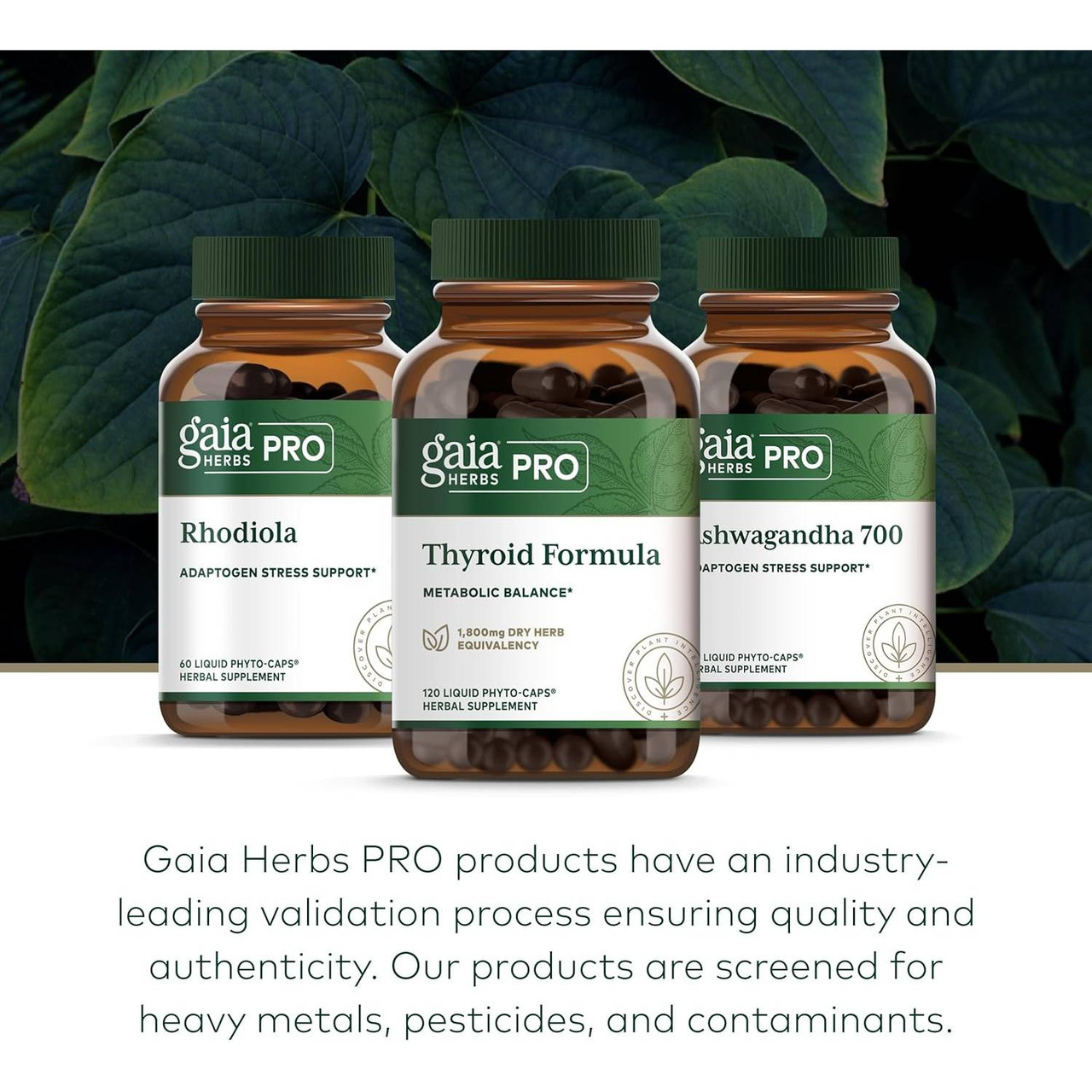 Rhodiola, Thyroid Formula and Ashwagandha 700 bottles with product testing text