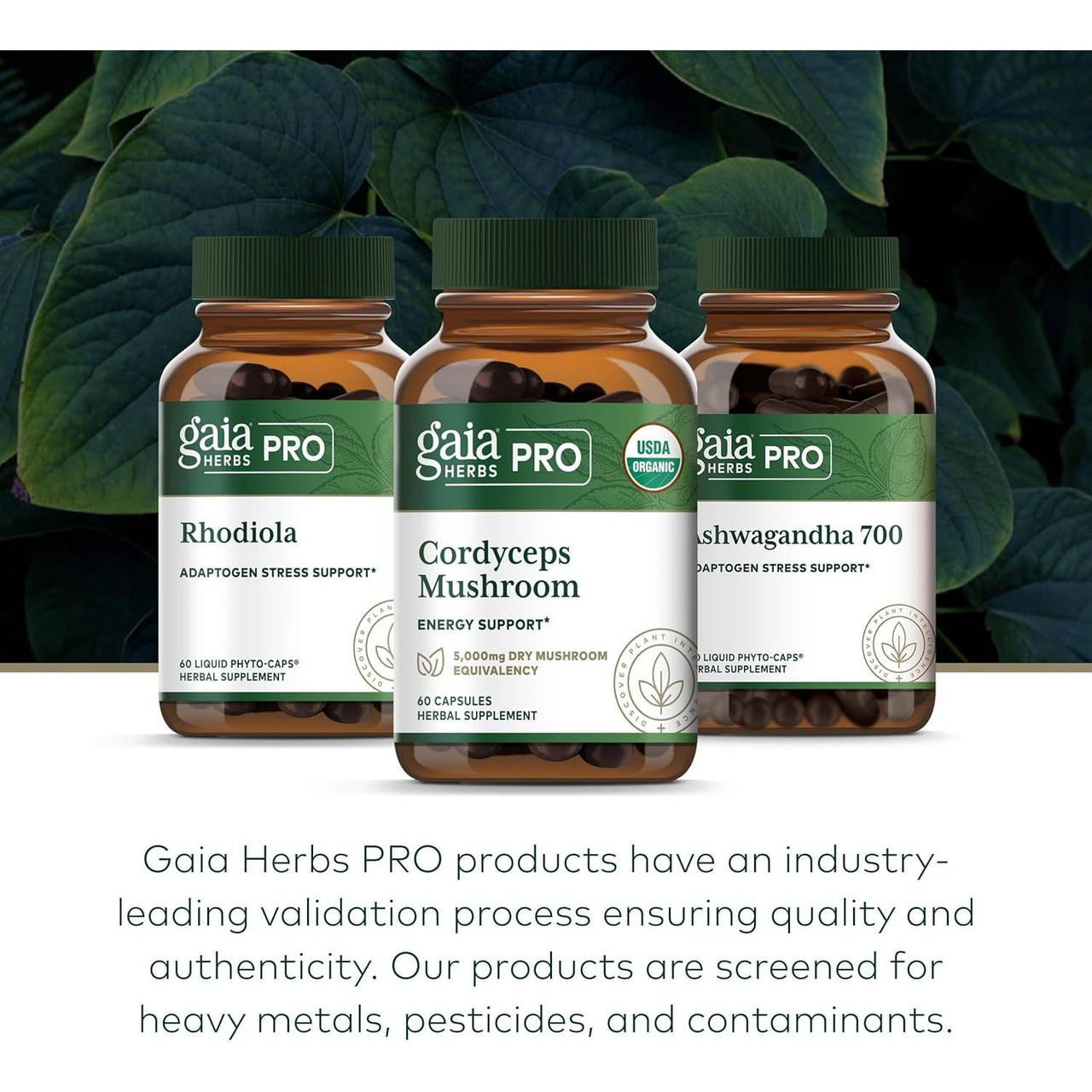 Gaia Herbs PRO Rhodiola, Cordyceps Mushroom and Ashwagandha bottles, quality validation graphic