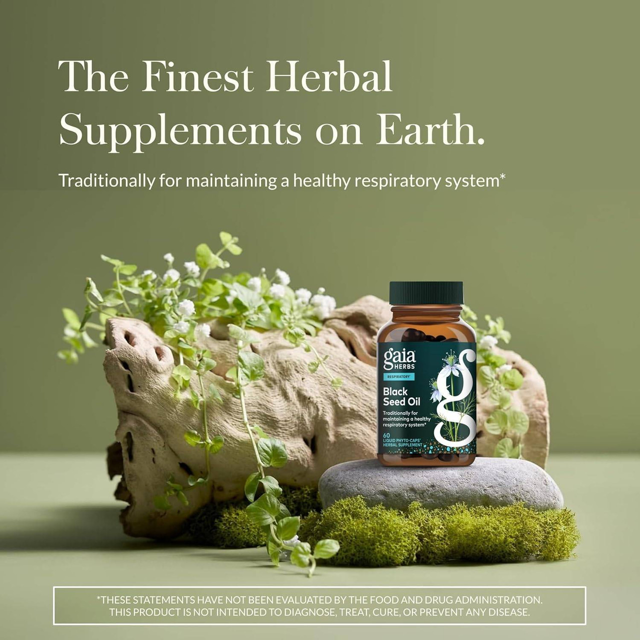 Black Seed Oil bottle on a mossy log, the finest herbal supplements on earth