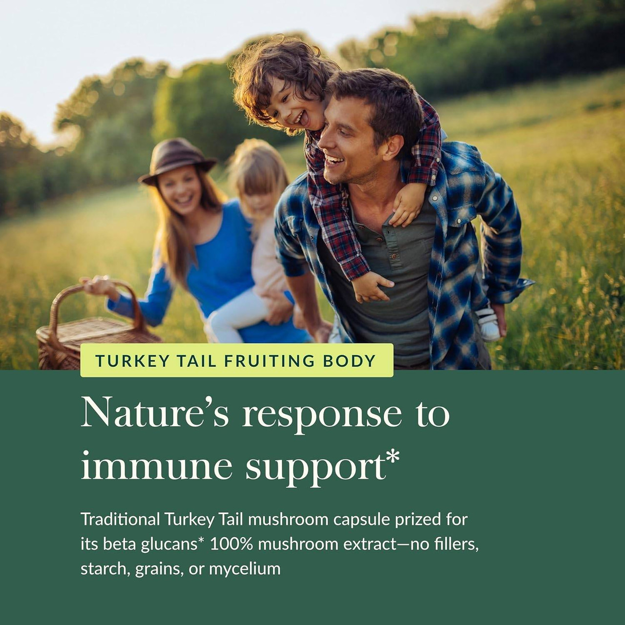 Gaia Herbs PRO Turkey Tail Mushroom - 40 Capsules