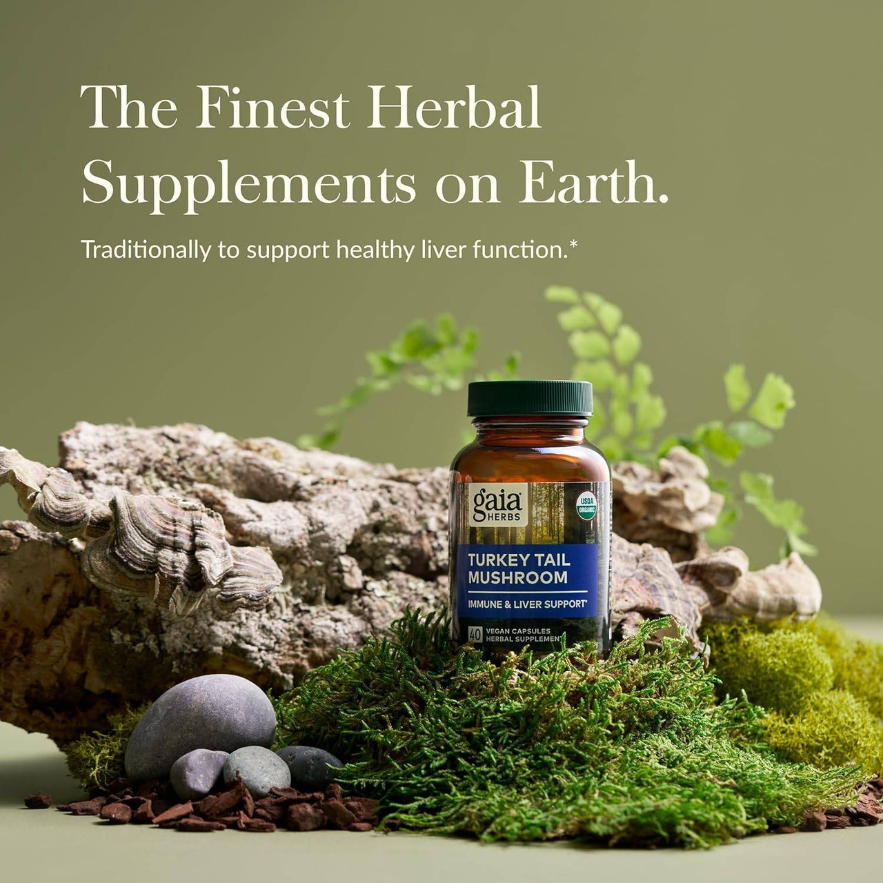 Gaia Herbs PRO Turkey Tail Mushroom - 40 Capsules