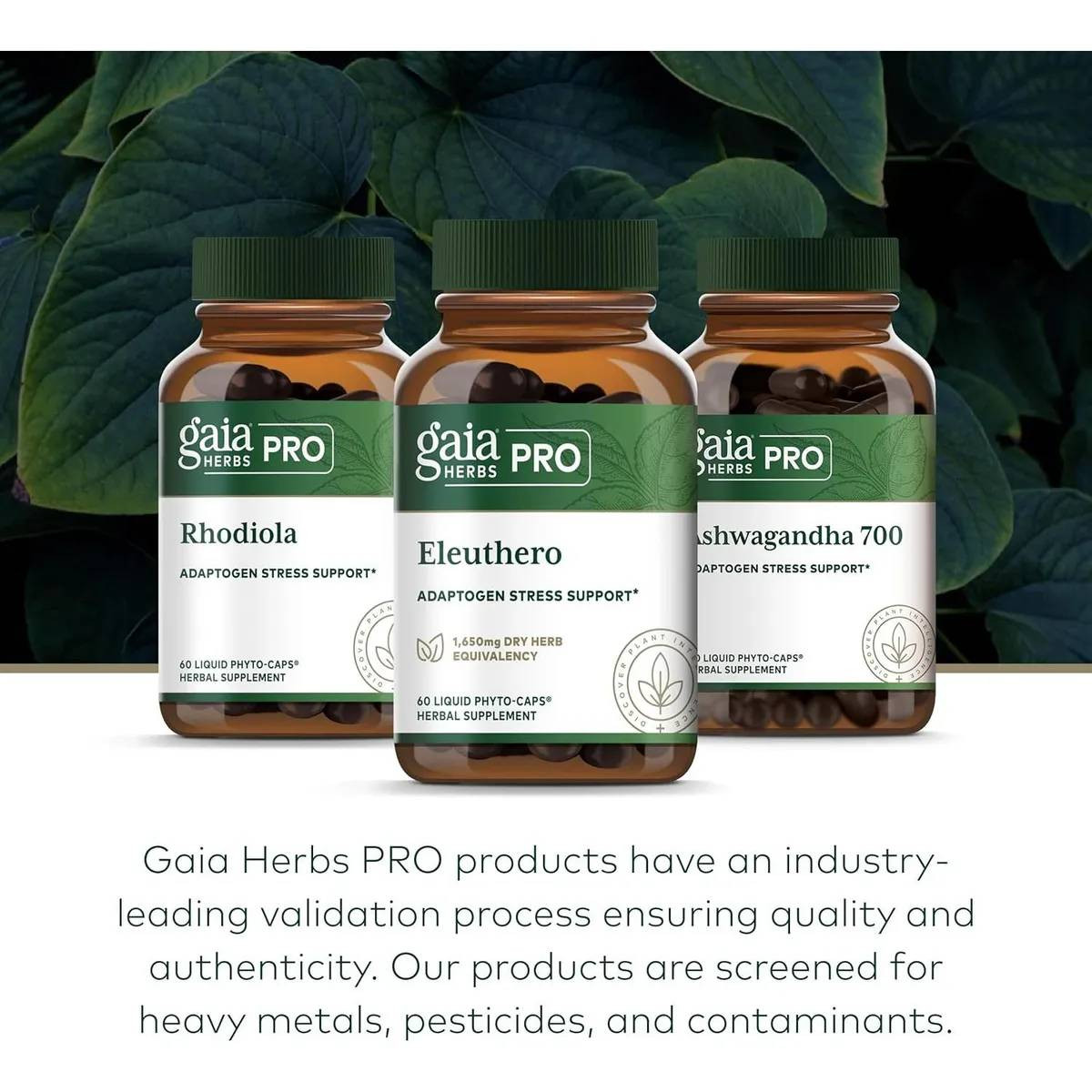 Three Gaia Herbs PRO bottles, validation process screened for heavy metals graphic