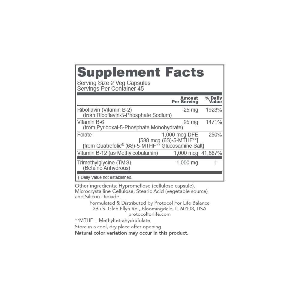 Protocol Methyl-Action - 90 Capsules