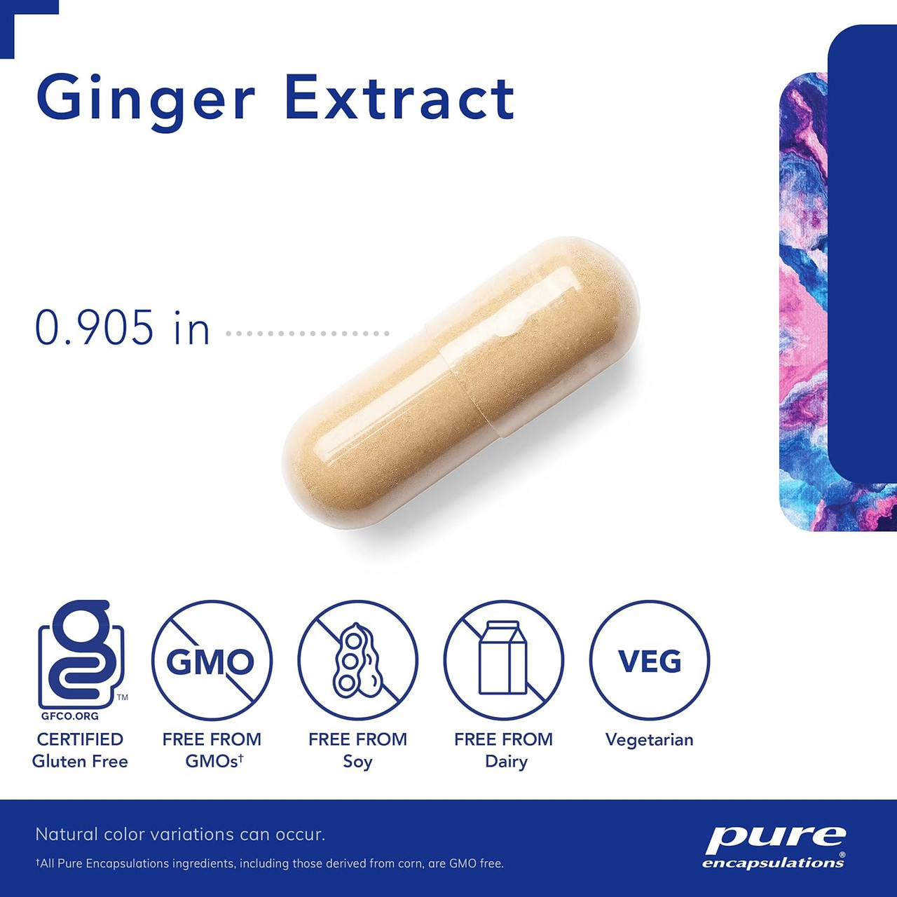 Ginger Extract capsule measuring 0.905 inches with vegetarian and non-GMO icons